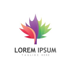 Maple leaf vector illustration