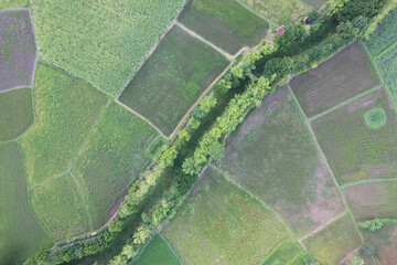 aerial view  farm land of drone  with high view of local agriculture land