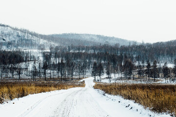 Winter snowy road leading to the forest in Khakassia, which leads to the city of Sorsk