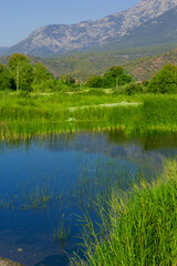 beautiful lake in the mountains in summer	