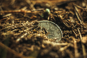 An old silver coin sticks out of the ground. Search for a treasure. Lost treasures.