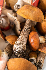 Wild mushrooms