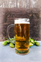 Glass of light beer and a branch of hops on a gray background. Place for text or logo. 