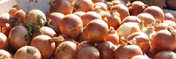 Montón de cebollas española en un puesto de mercado callejero en Alicante