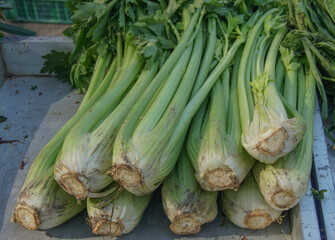 Apio en un mercadillo en España