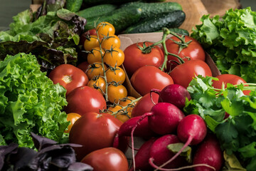 Fresh vegetables. Autumn harvest. Vegetarian still life.