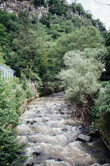A stormy river in a natural landscape flowing in the vicinity of Borjomi