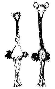 Illustration of funny couple of birds