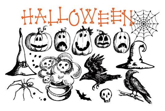 Hand drawn Halloween traditional symbols. Doodle style illustrations carved pumpkin, spider web, raven, bat, witch hat, skulls, spider, magic potion pot. Isolated vector on white.