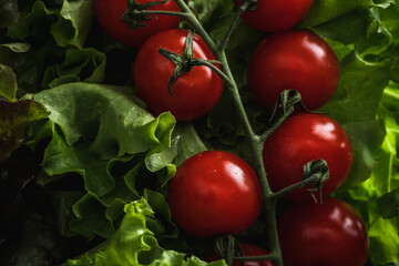 Vegetarian still life. Raw vegetables. Red tomatoes on a green background.