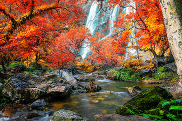 Amazing in nature, beautiful waterfall at colorful autumn forest in fall season. 	