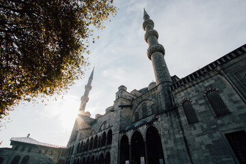 A bottom view of the Turkish Mosque in Istanbul