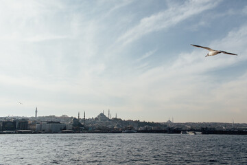 Fototapeta na wymiar Photo with a cityscape, where a seagull flies towards Istanbul