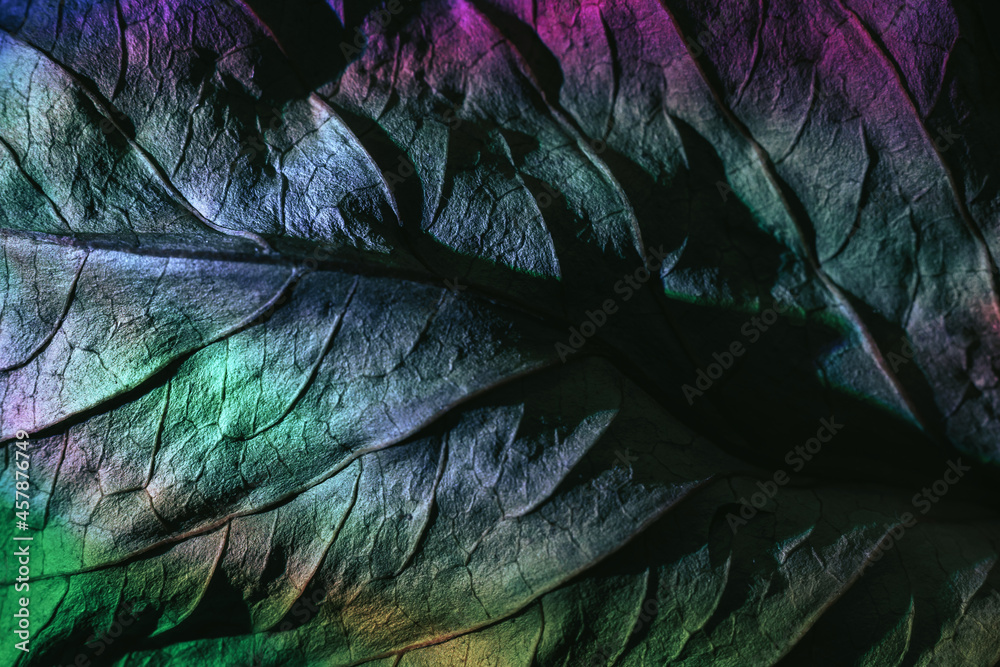 Aufkleber Close up Beautiful abstraction  leaf texture in multicoloured neon light. Minimalism retro style concept. Background pattern for design. Macro photography view.