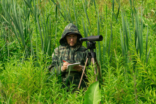 Ornithologist Records The Results Of The Observations While Standing Among The Tall Grass In The Wetland