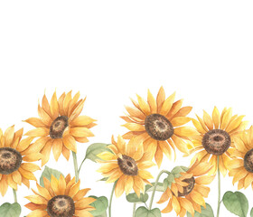 Watercolor seamless pattern. Floral sunflower border.