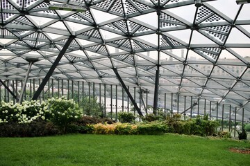 Beautiful plants under the dome in Zaryadye Park in Moscow
