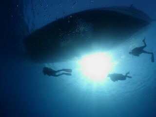 silhouette of scua divers exploring ocean reefs underwater scenery landscape