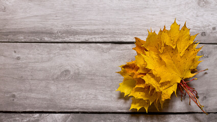 Naklejka na ściany i meble Yellow maple leaves on a wooden background.