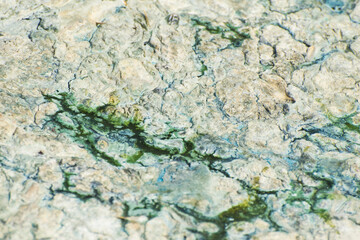 Abstract background. Multi-colored stains on the surface of the swamp mud. Flowering of cyanobacteria in water bodies.
