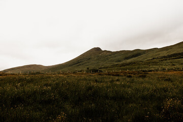 Obraz na płótnie Canvas Hill side in Connemara Ireland. A grassy slope in an overcast day, no rain. 