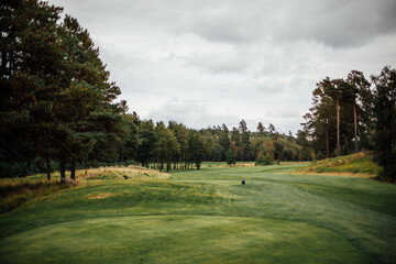 Swedish golf course at the end of the summer 2