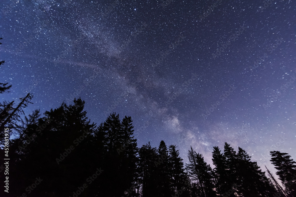 Wall mural bright starry sky with the milky way on the background of high tatras mountains
