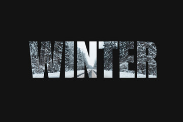 Winter season with forest and straight road, creative font. Design lettering with a winter landscape.