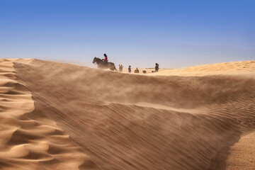 Berber rides a horse in the Sahara Desert during a strong wind, sandstorm.