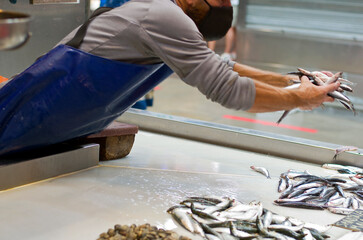 the seller setting the fish on the counter and selling the fish