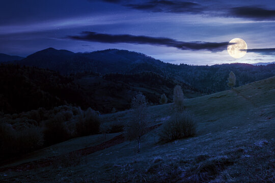 rolling rural mountain landscape at night. gorgeous nature scenery in spring. clouds on the sky in full moon light