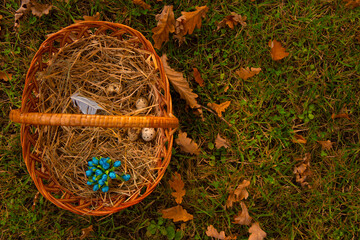 still life photography of vintage basket on October seasonal meadow and falling leaves on grass