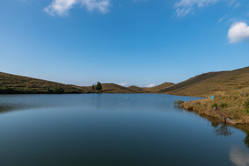 The meadow by the lake is blue and the water is blue and the grass is yellow