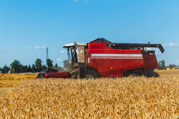 Fototapeta na wymiar Combine harvester harvesting wheat