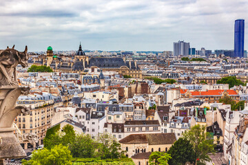 Fototapeta na wymiar Gargoyle Notre Dame Church Old Buildings Paris France