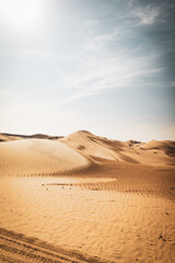 sand dunes in the desert