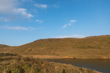At dusk, the golden meadow is under the blue sky