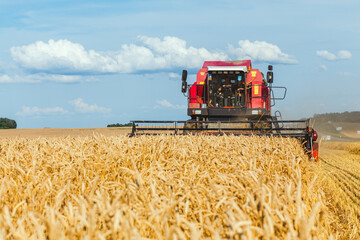 Combine harvester harvesting ripe wheat