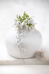 Bouquet of snowdrops flowers in white vase