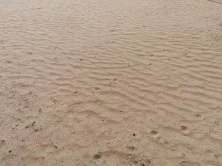 Fototapeta na wymiar Tracks in the desert in Abu Dhabi, UAE.