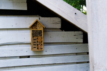 insect house at the back of the garden