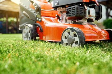 Fototapeta premium Red lawn mower standing on green grass at summer garden. Close up of modern tool for gardening. Mower grass equipment.