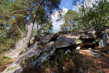 Hill of the Angennes rocks in Rambouillet forest