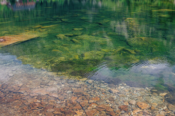 Calm and pure mounting lake water, stones and green weeds on the bottom.