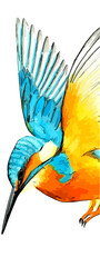 Vertical banner, book mark. Hand drawn watercolor colorful illustration of blue and orange alcedo isolated on white background.