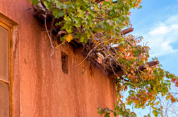 Flower branches on the wall