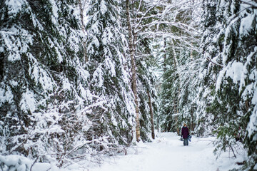 Person In Winter Forest