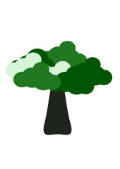 big tree isolated on white background