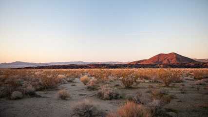 The sun sets on a hill in the Mojave Desert 
