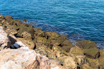 Stony seashore. Sea coast with stones and moss
